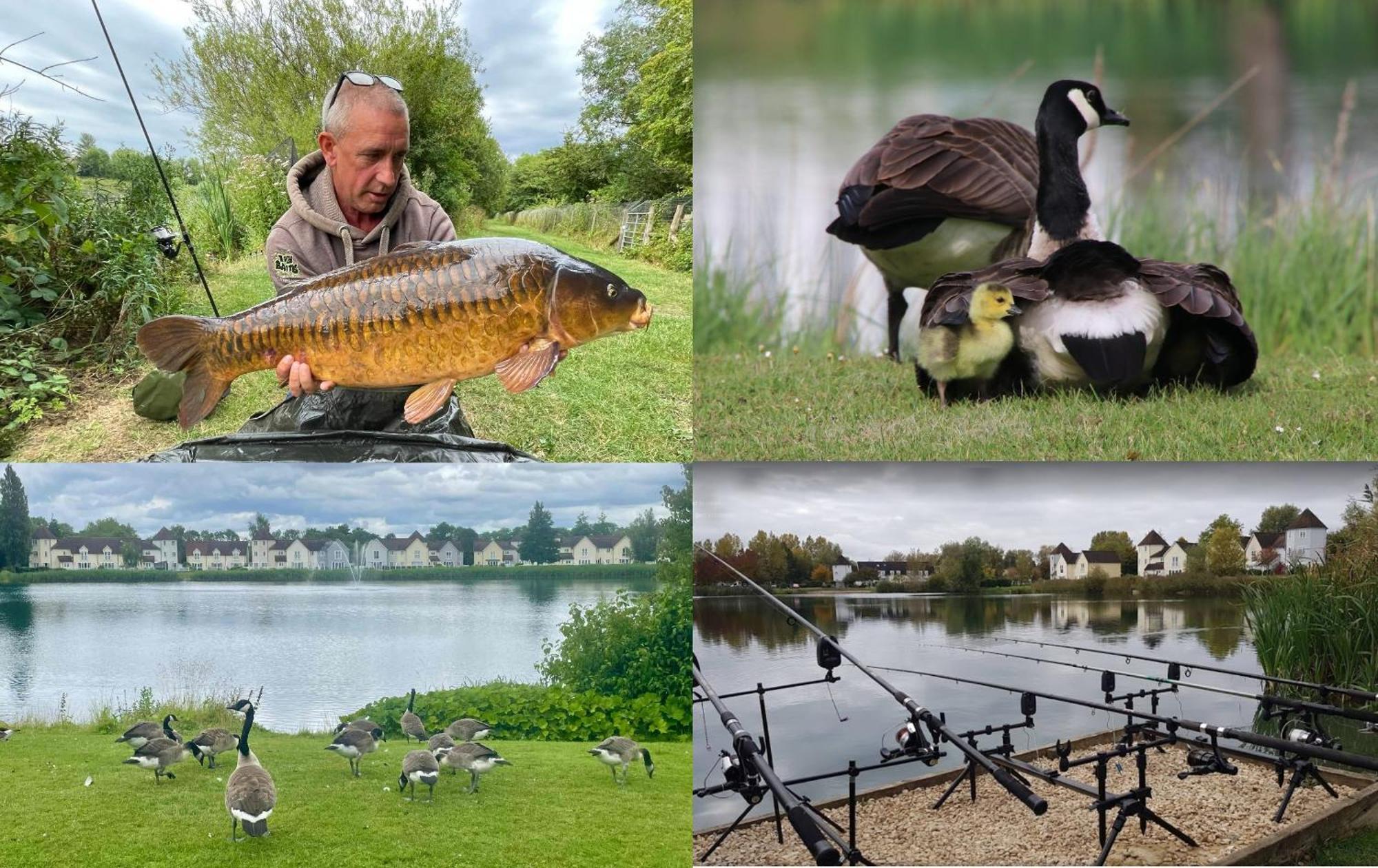 Luxury Kingfisher Lodge, Isis Lake, Within The Cotswold Waterpark Cirencester Exterior foto