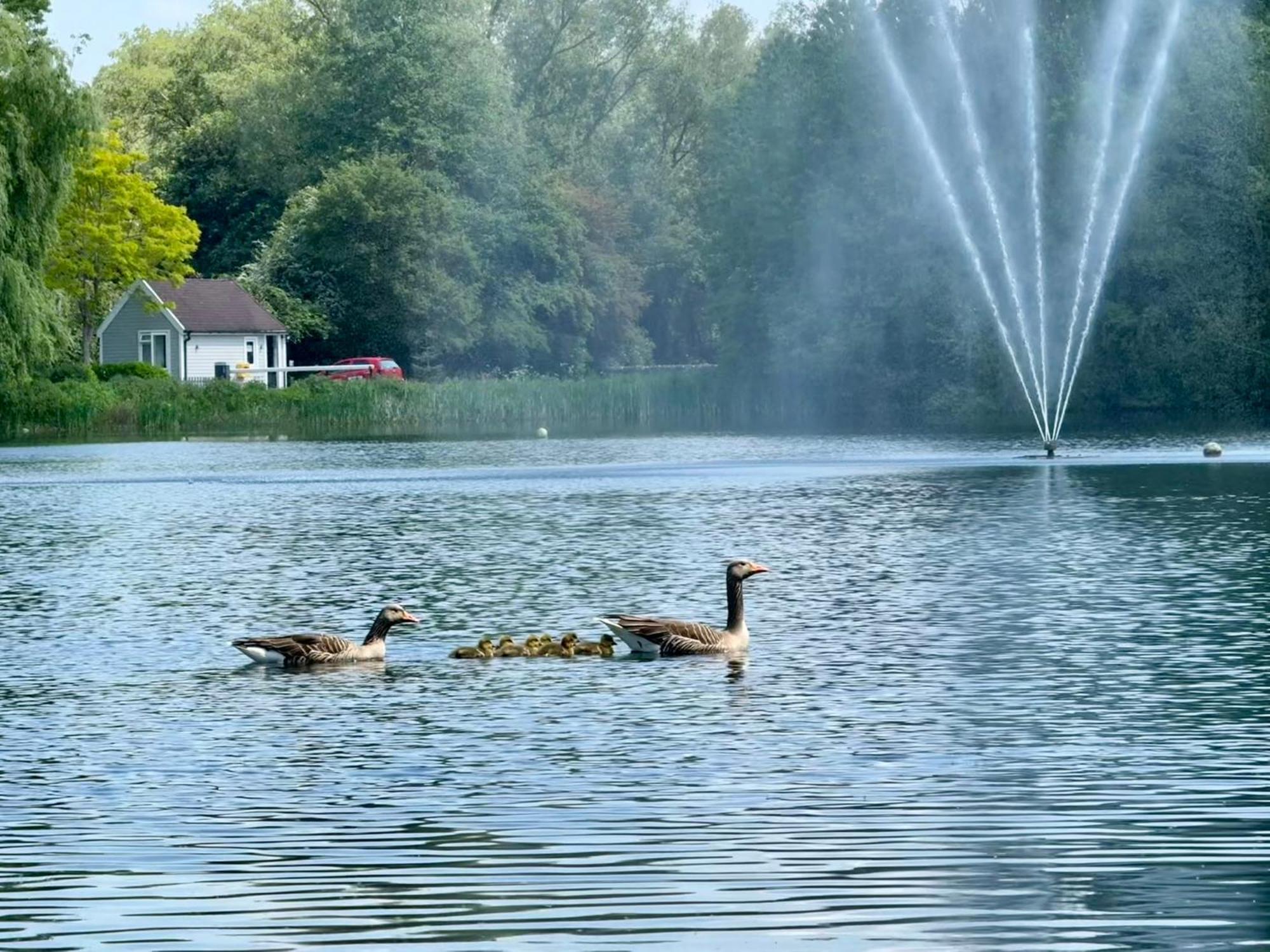 Luxury Kingfisher Lodge, Isis Lake, Within The Cotswold Waterpark Cirencester Exterior foto